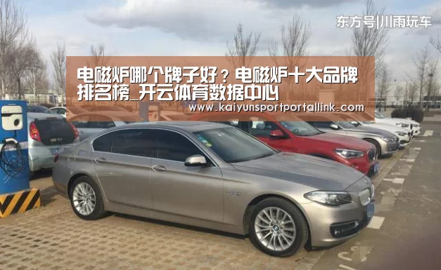 电磁炉哪个牌子好?电磁炉十大品牌排名榜_开云体育数据中心(图1) 开云体育数据中心