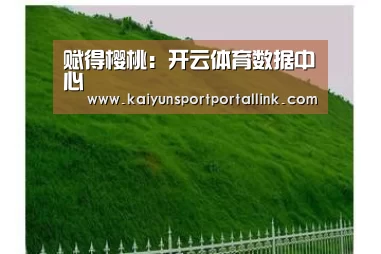 赋得樱桃:开云体育数据中心(图3) 开云体育