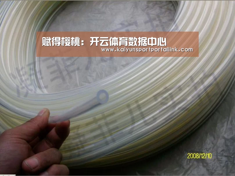 赋得樱桃:开云体育数据中心(图2) KAIYUN官网