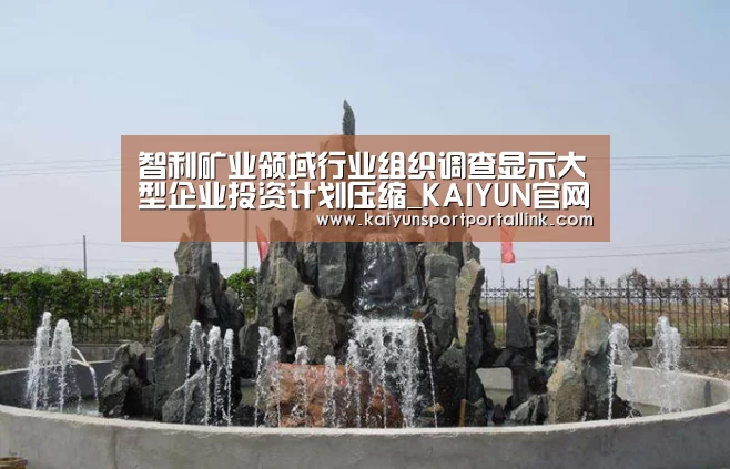 开云入口